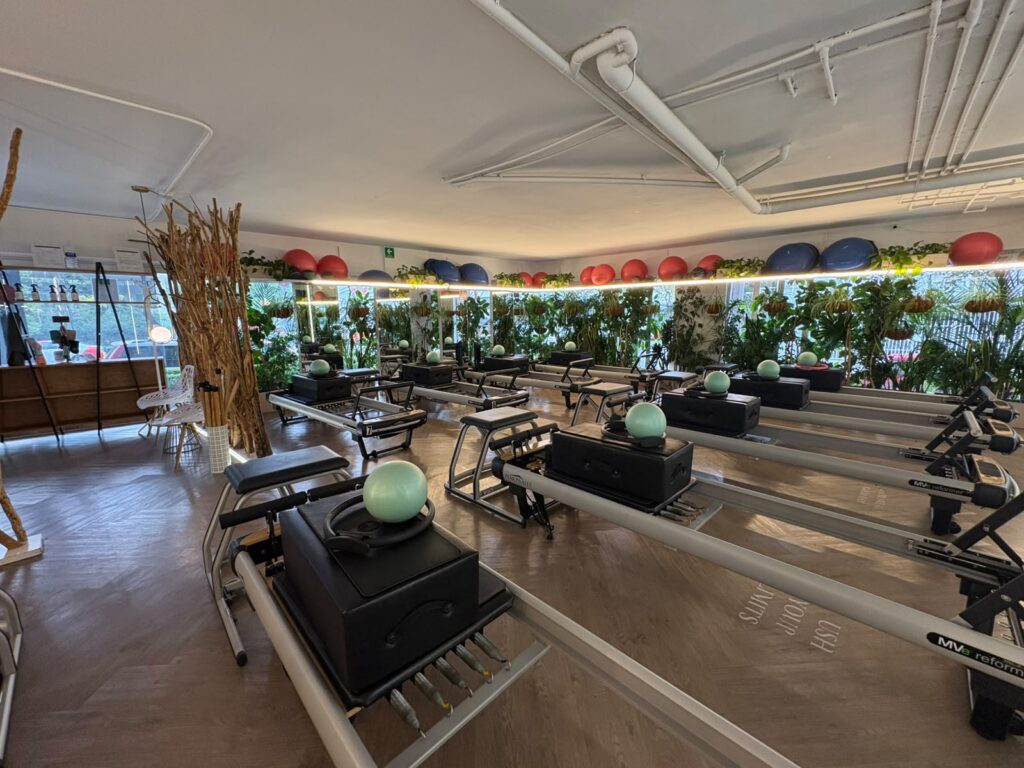 The Fit Pilates Homero, estudio de Pilates Reformer en Polanco CDMX